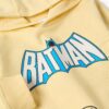 ZIPPY - Φούτερ Batman